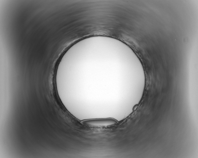 X0000096450098200802141520