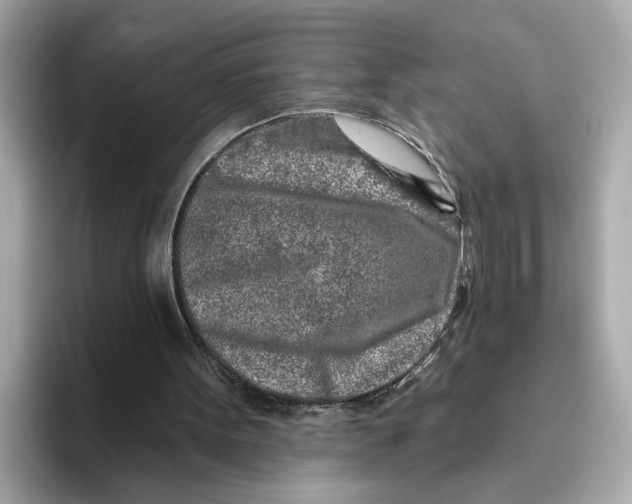 X0000096450099200802141520