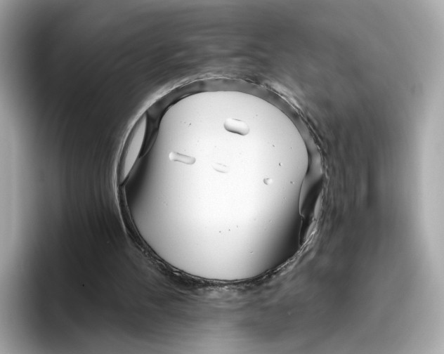 X0000096450100200802141520