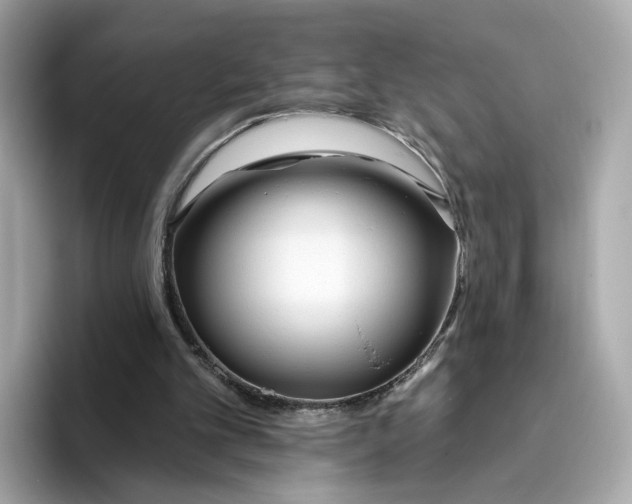 X0000096450101200802141520