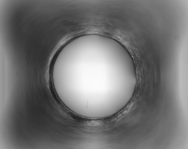 X0000096450102200802141520