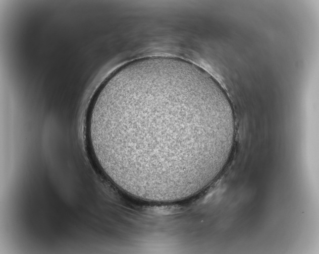 X0000096450103200802141520