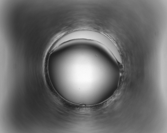 X0000096450104200802141520