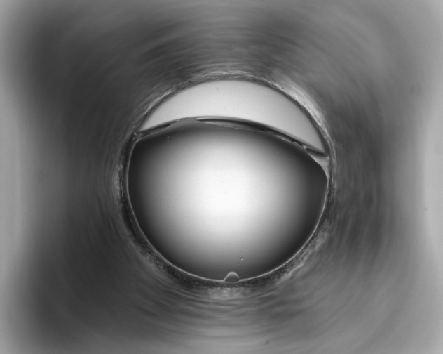 X0000096450105200802141520