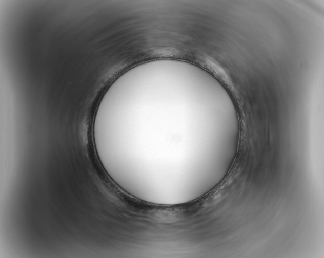 X0000096450106200802141520