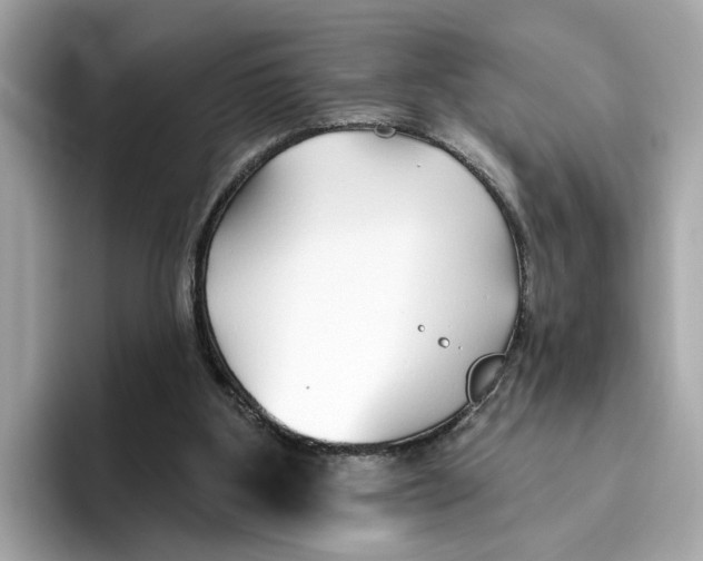 X0000096450107200802141520