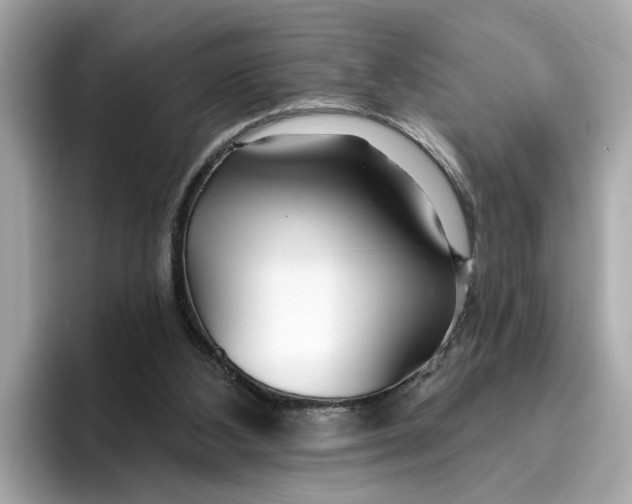 X0000096450108200802141520