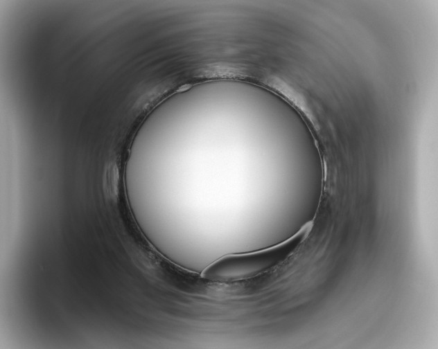 X0000096450109200802141520