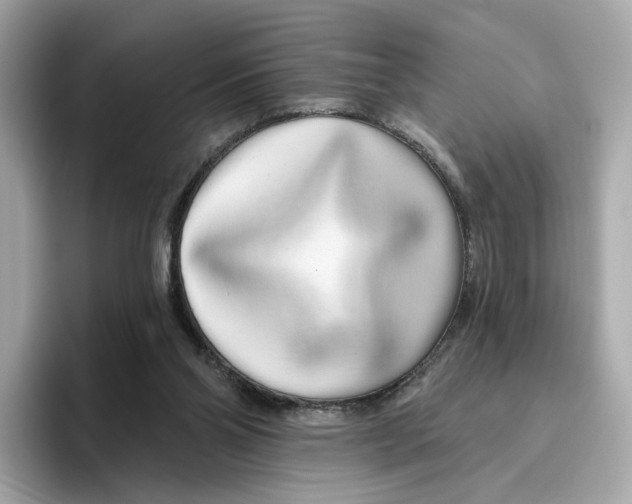 X0000096450110200802141520