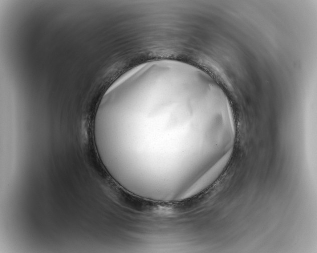 X0000096450114200802141520