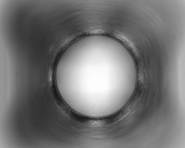 X0000096450115200802141520