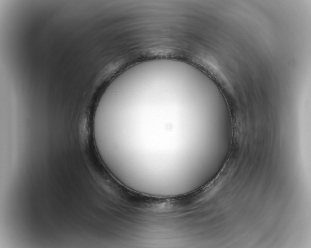 X0000096450116200802141520