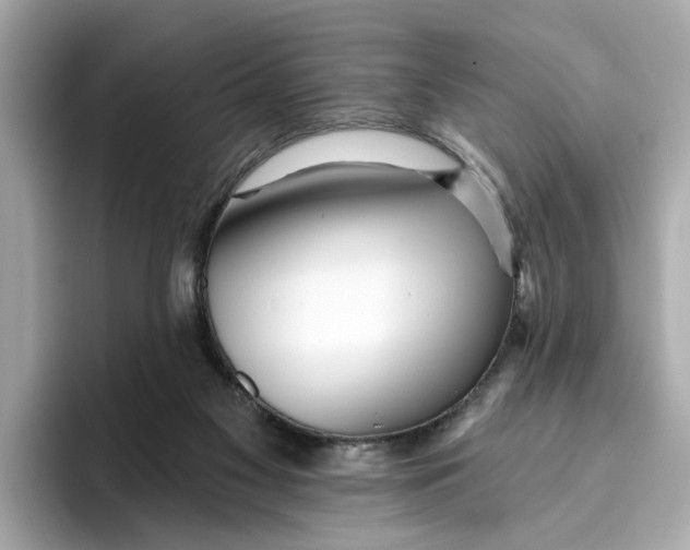 X0000096450117200802141520