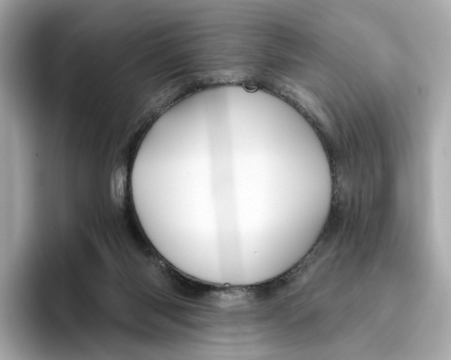 X0000096450118200802141520