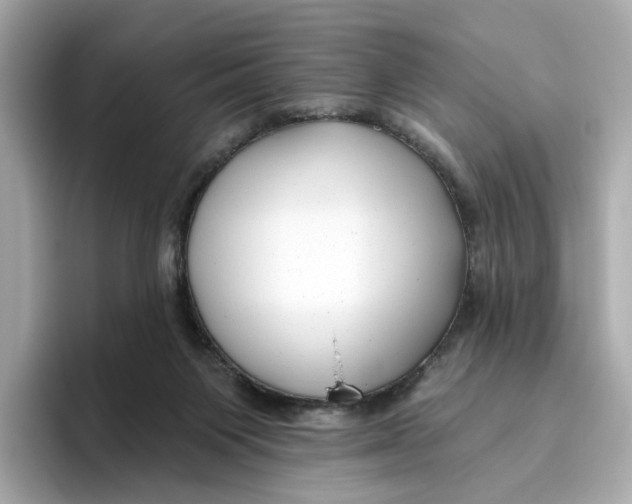 X0000096450119200802141520