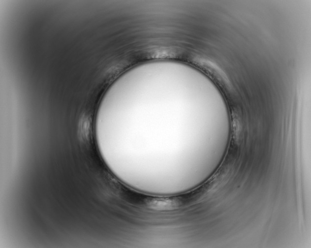 X0000096450123200802141520