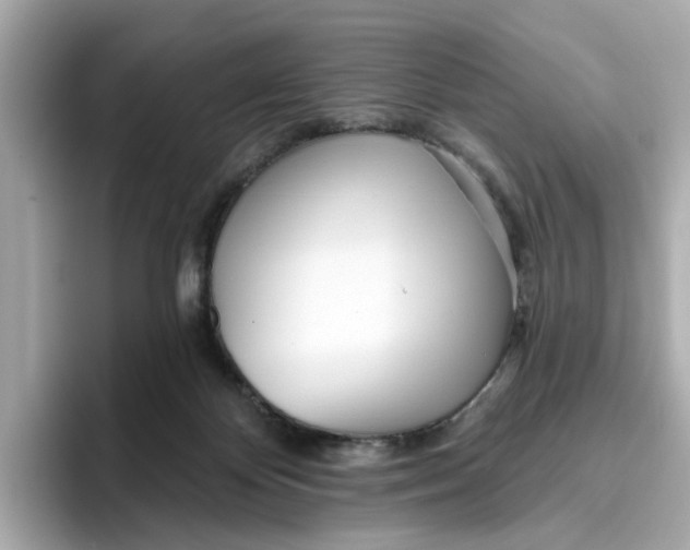 X0000096450124200802141520