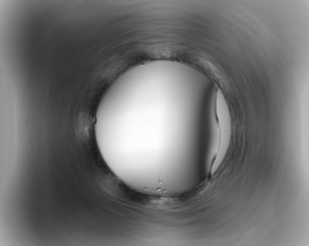 X0000096450125200802141520