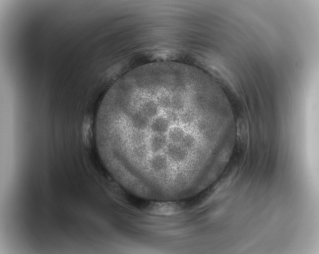 X0000096450127200802141520