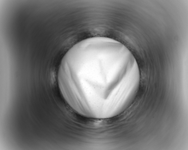 X0000096450130200802141520