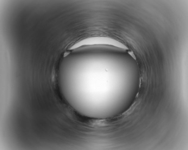 X0000096450132200802141520