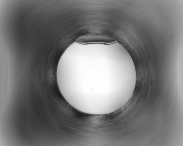 X0000096450136200802141520