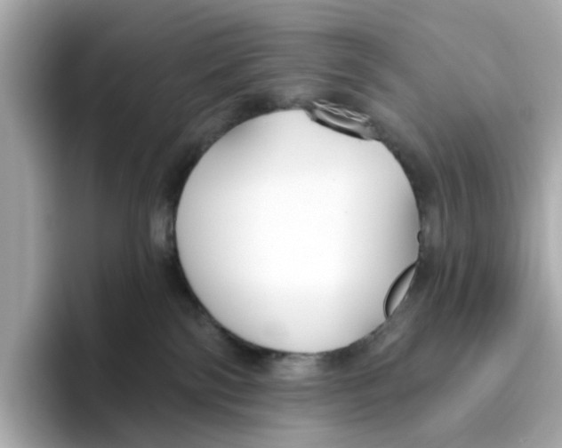 X0000096450138200802141520