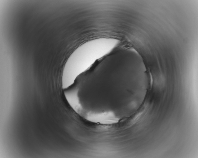 X0000096450139200802141520