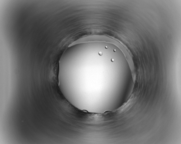 X0000096450140200802141519