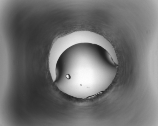 X0000096450144200802141519