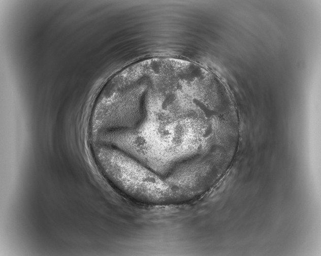 X0000096450145200802141519