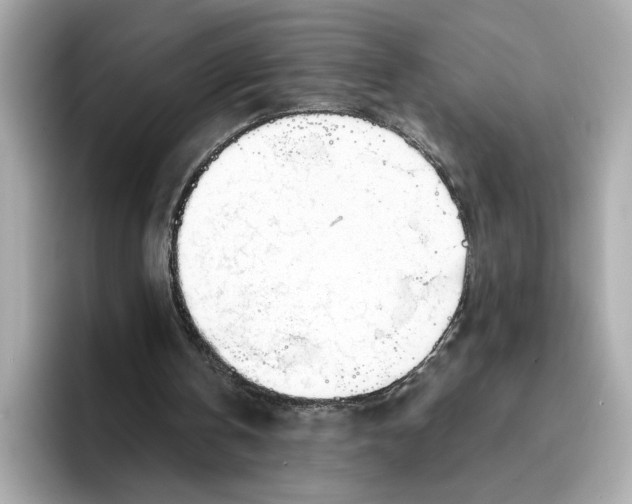 X0000096450146200802141519