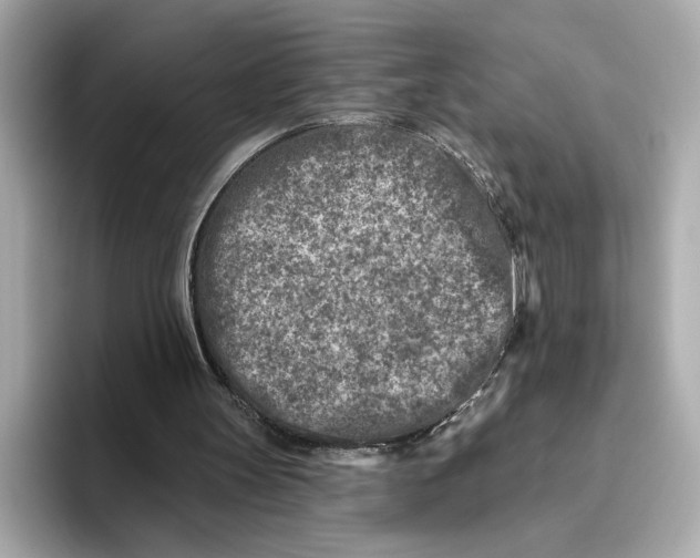 X0000096450147200802141519