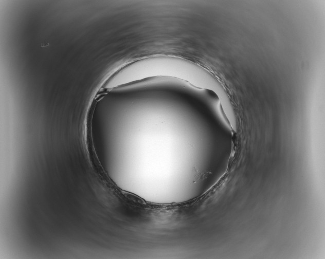 X0000096450148200802141519