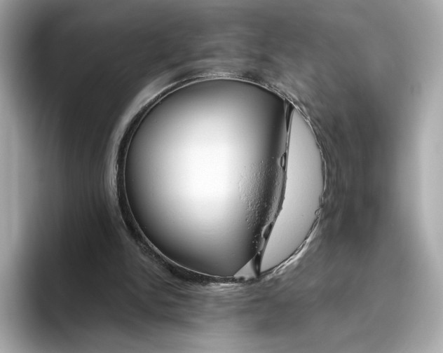 X0000096450150200802141519