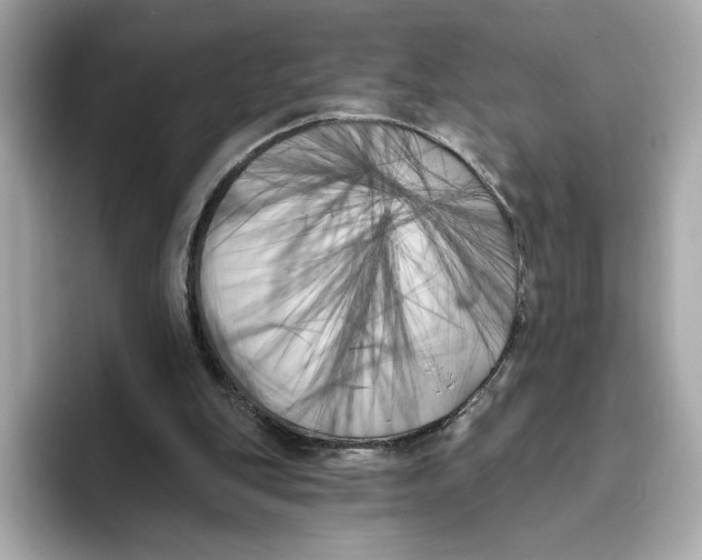 X0000096450151200802141519