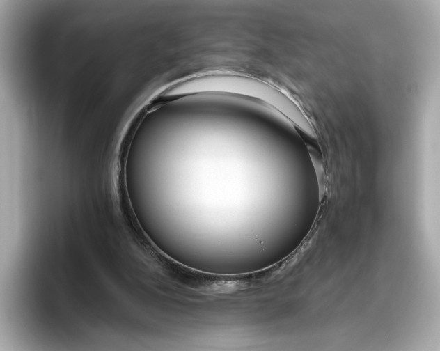 X0000096450152200802141519