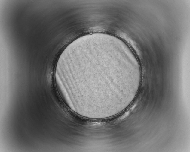 X0000096450153200802141519