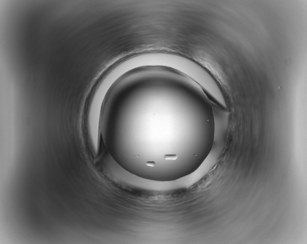 X0000096450156200802141519