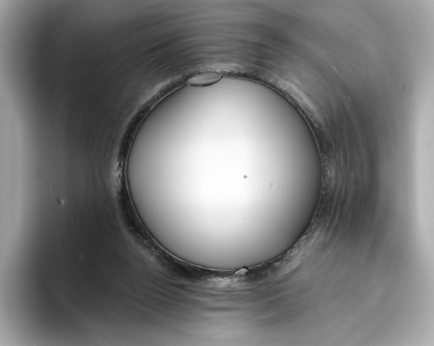 X0000096450160200802141519