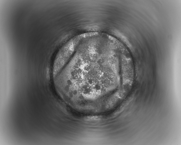 X0000096450161200802141519