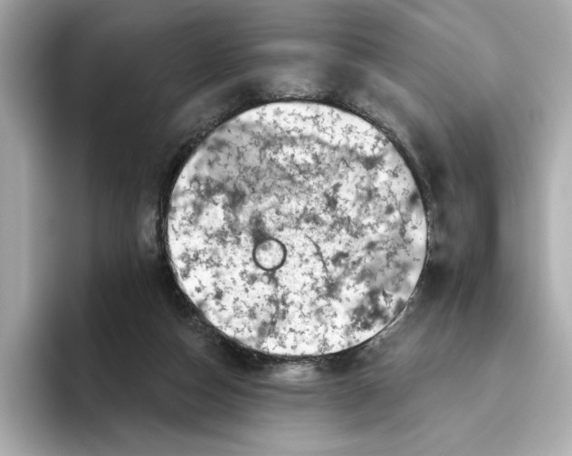 X0000096450162200802141519