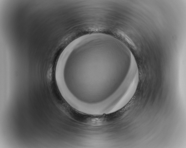 X0000096450163200802141519