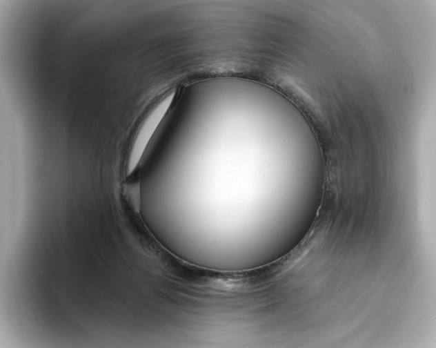 X0000096450164200802141519