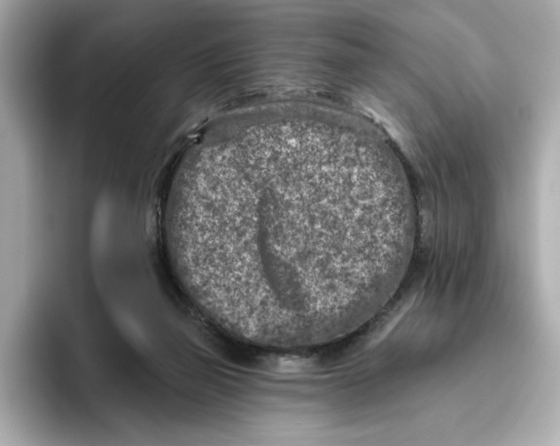 X0000096450165200802141519