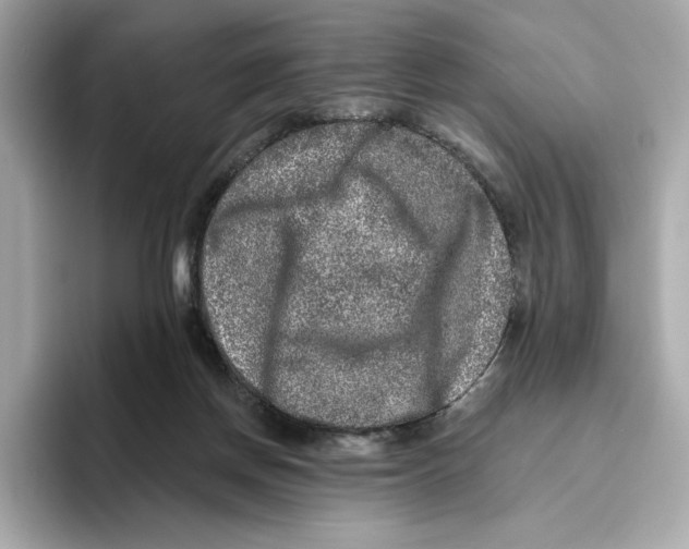 X0000096450166200802141519