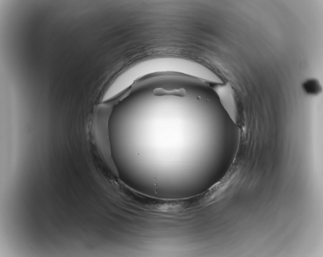 X0000096450168200802141519