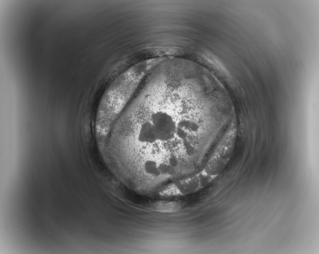 X0000096450169200802141519