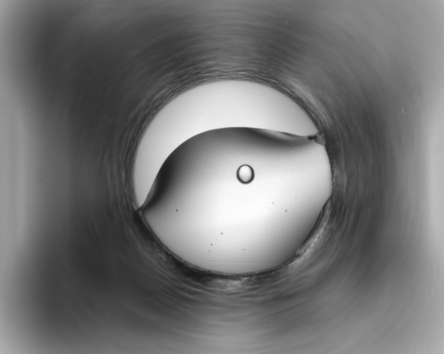 X0000096450170200802141519