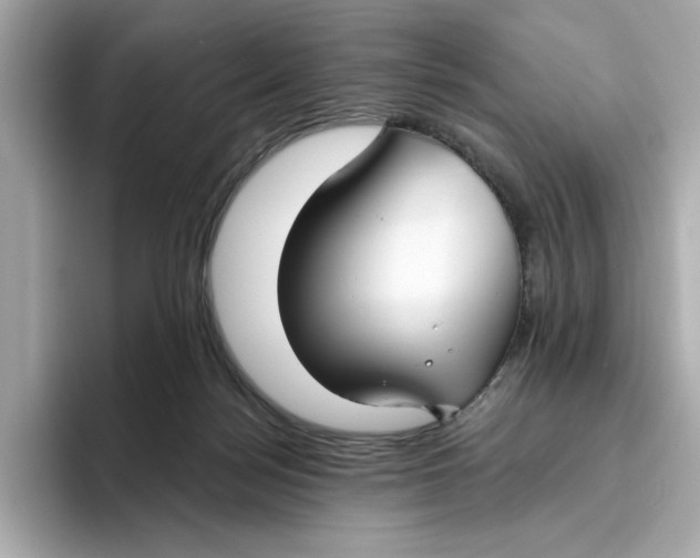 X0000096450172200802141519